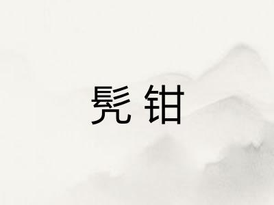 髠钳