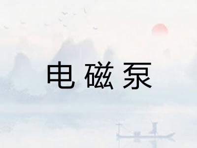 电磁泵