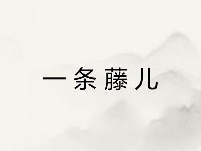 一条藤儿