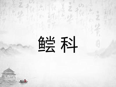 鲿科 鲿科