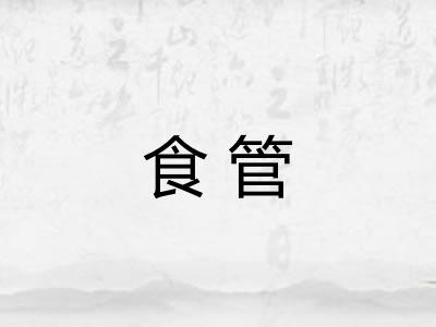 食管