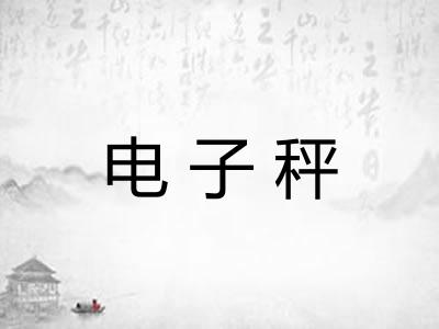 电子秤
