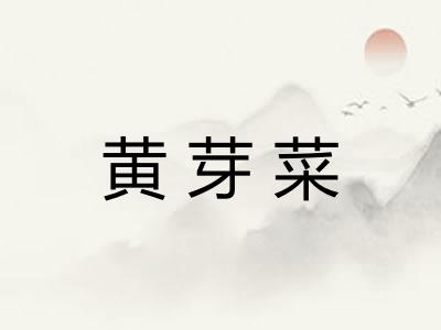 黄芽菜