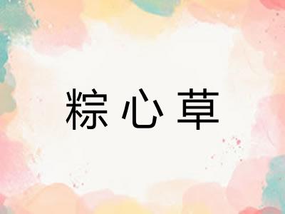 粽心草 粽心草
