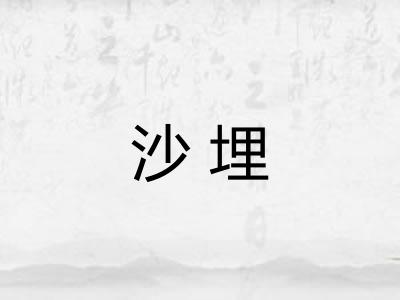 沙埋 沙埋
