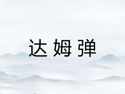 达姆弹 达姆弹