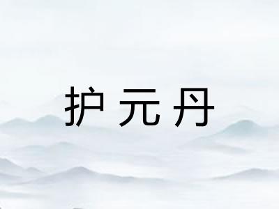 护元丹