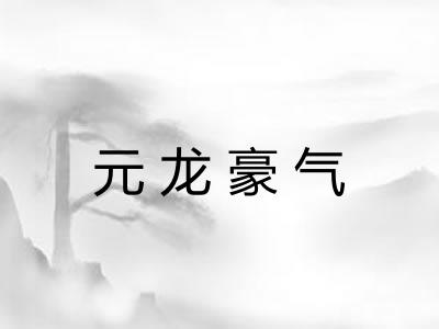元龙豪气