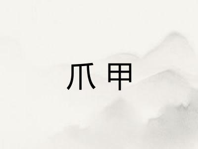 爪甲 爪甲