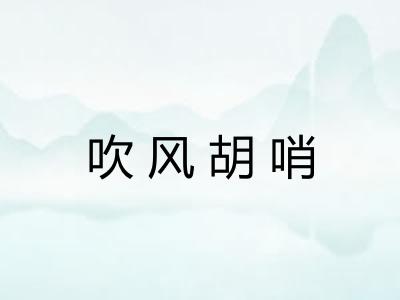 吹风胡哨 吹风胡哨