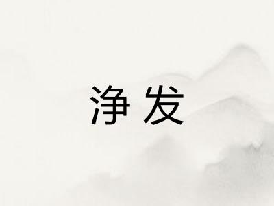 浄发 浄发