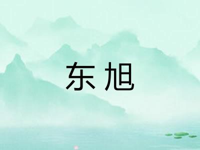 东旭
