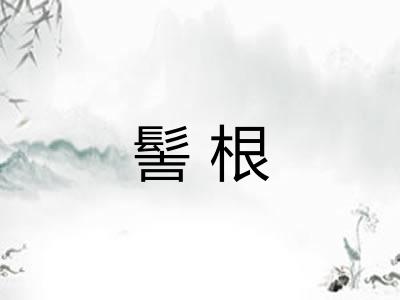 髻根