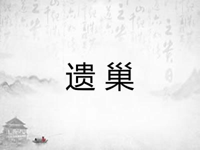 遗巢