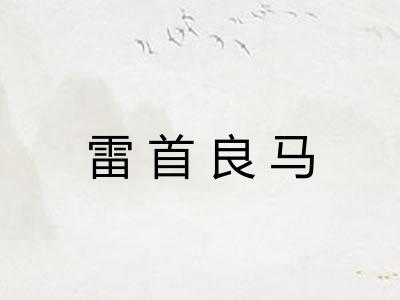 雷首良马 雷首良马