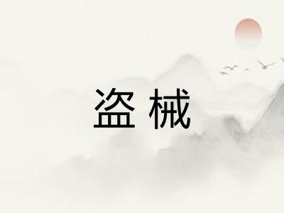 盗械