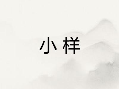小样
