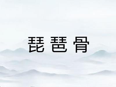 琵琶骨 琵琶骨