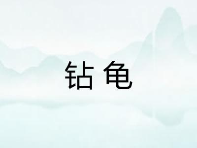 钻龟