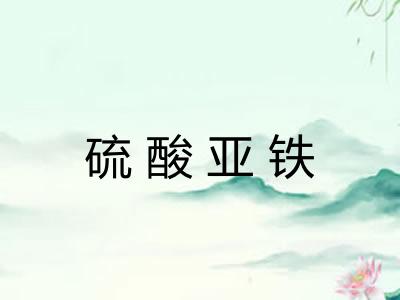硫酸亚铁 硫酸亚铁
