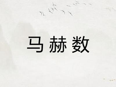 马赫数