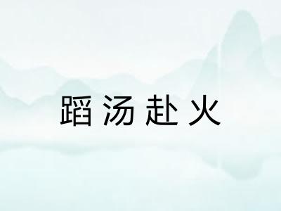 蹈汤赴火