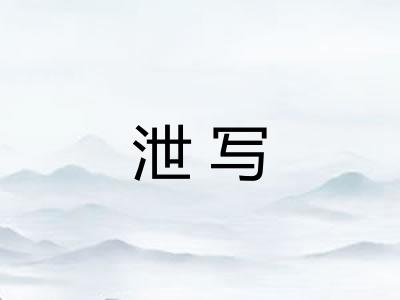 泄写