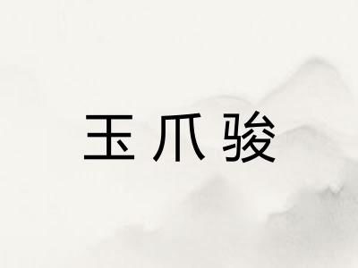 玉爪骏