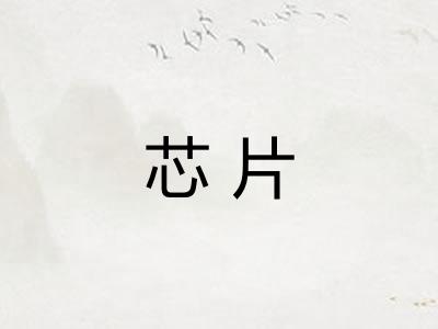 芯片 芯片