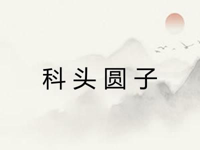 科头圆子 科头圆子
