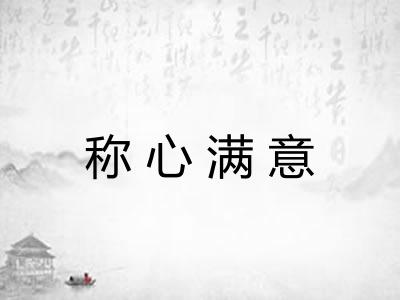 称心满意