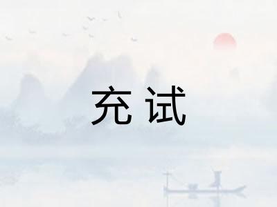 充试