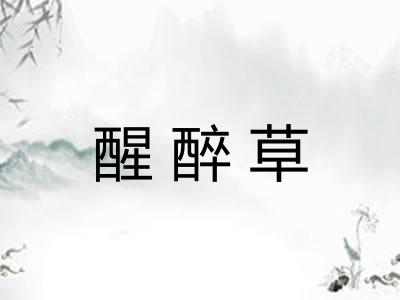 醒醉草 醒醉草
