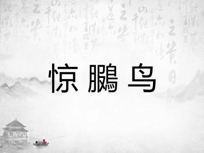 惊鵩鸟 惊鵩鸟