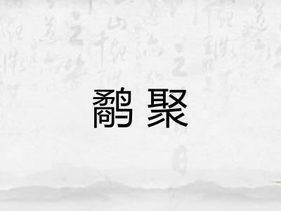 鹬聚
