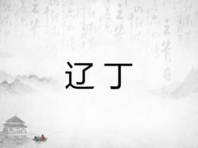 辽丁