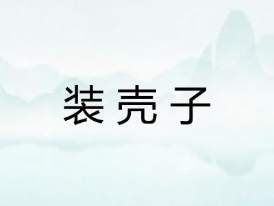 装壳子