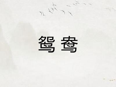鸳鸯