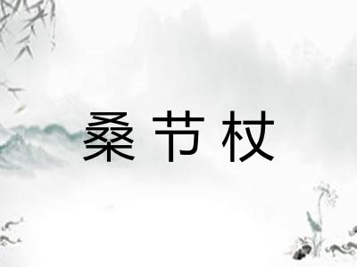 桑节杖