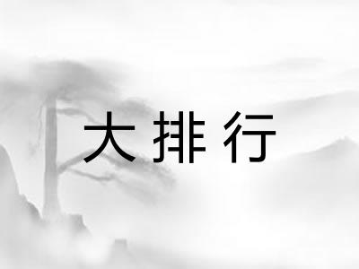 大排行