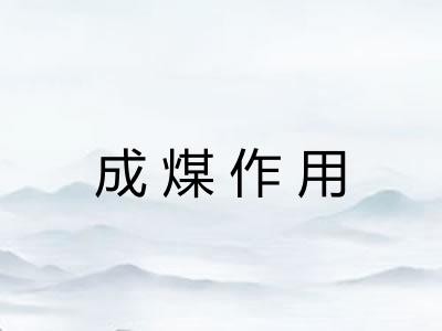 成煤作用