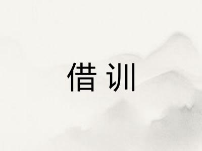 借训