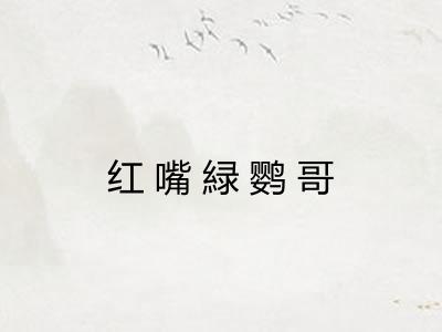 红嘴緑鹦哥
