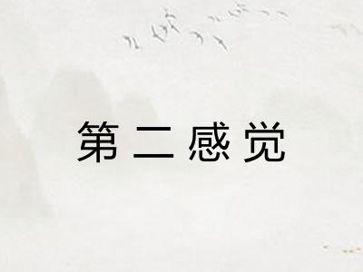 第二感觉 第二感觉