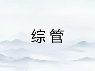 综管 综管