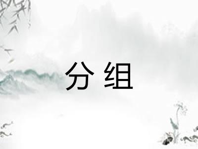 分组 分组