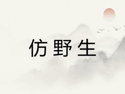 仿野生
