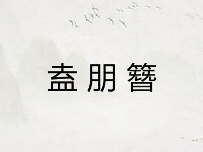 盍朋簪