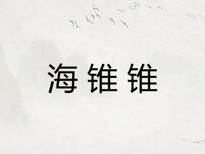 海锥锥