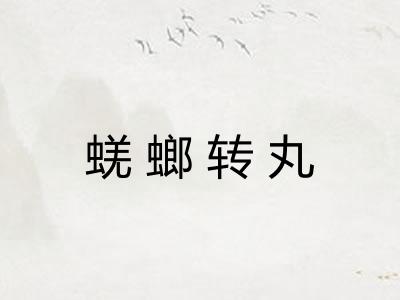蜣螂转丸 蜣螂转丸